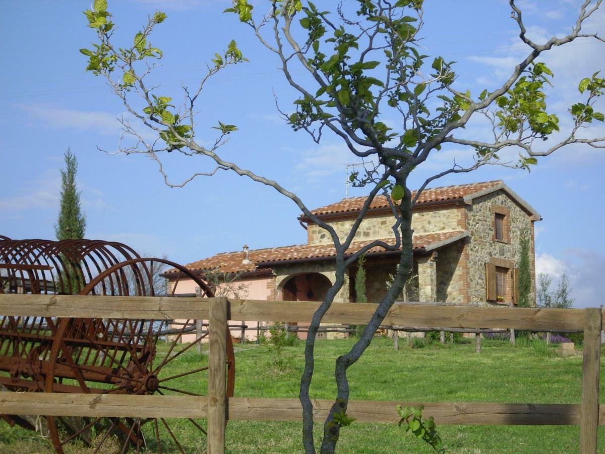 Agriturismo Il Feudo Grosseto Exterior photo